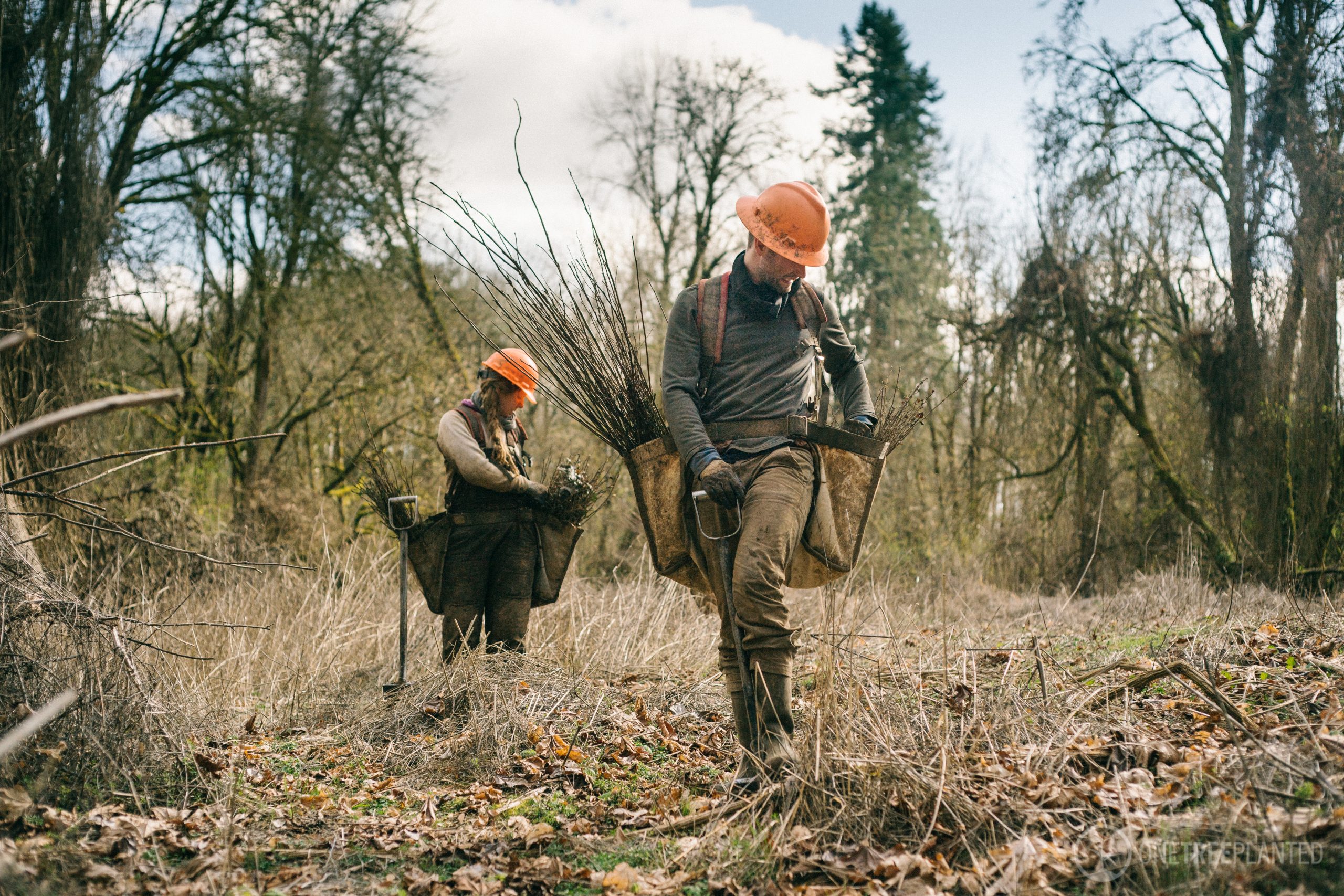 Willamette Valley Restoration