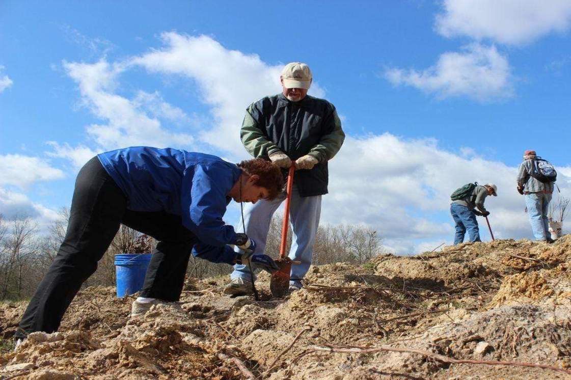 appalachia-tree-planting_5000x_1121x746 appalachia-tree-planting_5000x_1121x746