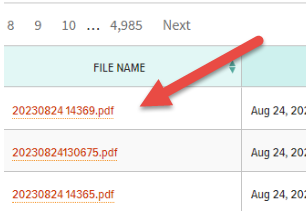 Export- file names